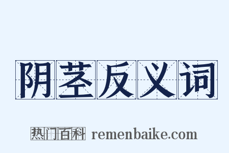 阴茎反义词是什么意思的图片